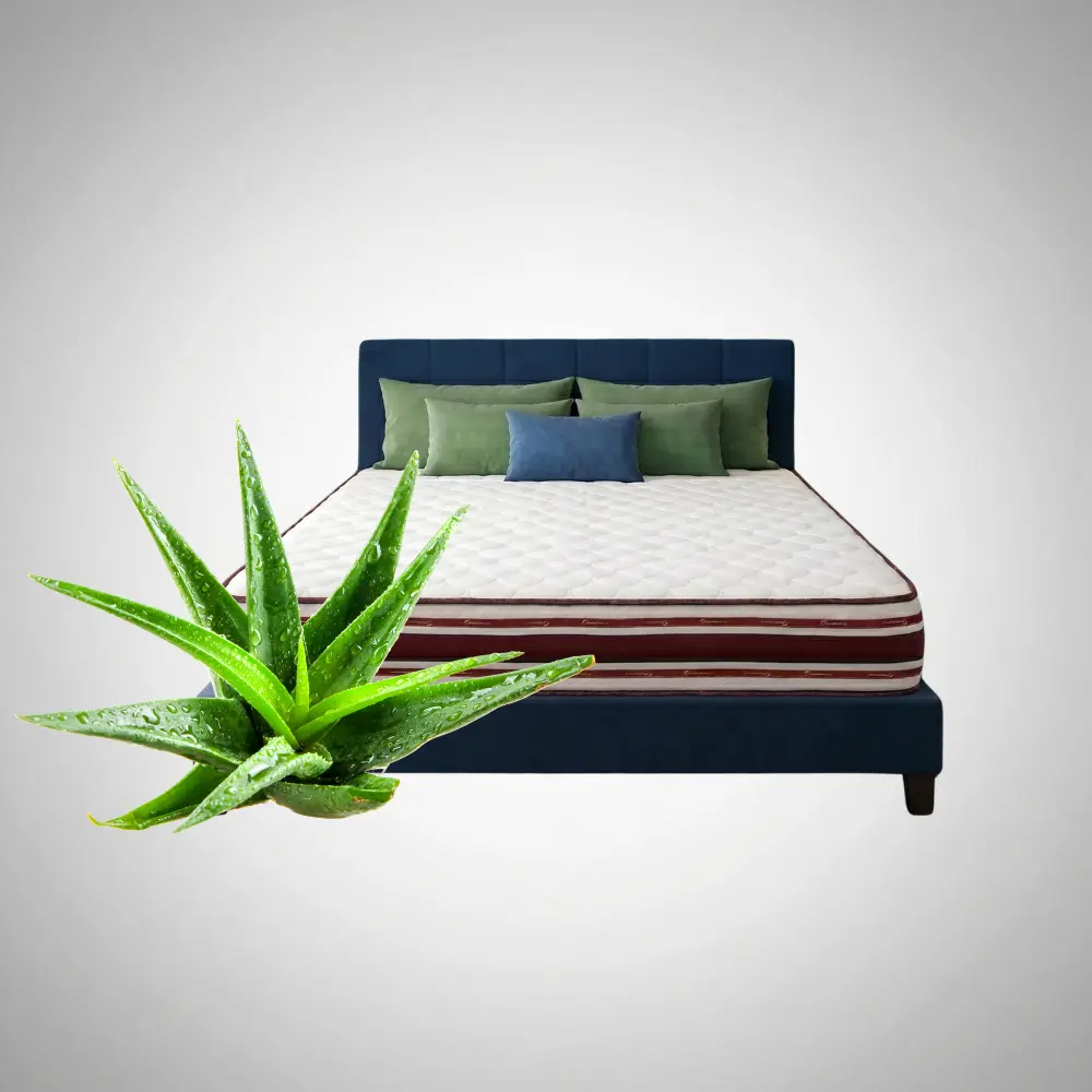 Husa cu Aloe Vera